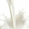 Bebé Culito - @johnmuntean2 - TikTok