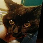 John Murrin - @johnmurrin29 - Instagram