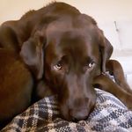 John Murrin - @john.murrin0 - Instagram