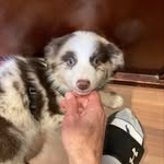 John Musso - @jmusso66 - Instagram