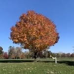 John Muszynski - @muszynski.john - Instagram