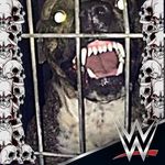 John Mutz - @johnaldenmutz - Instagram