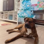 Luke John Myatt - @myatt.hung - Instagram