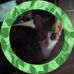 John Nadolny - Facebook
