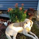 John Nadolny - @john.nadolny.3 - Instagram
