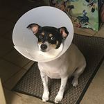 John Nakamura - @sleepee_jaybee - Instagram