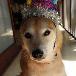 JOHN NAKAMURA - @john03oct2006 - Instagram