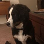 John De Naples - @go_bucks_214 - Instagram