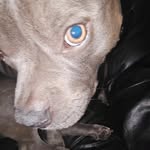John napper - @carpit_rider - Instagram