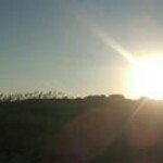 John D. Nardone - @johnnardone - Instagram
