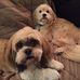 John Nanartowicz - Facebook