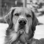 John Nason - @john.tnason - Instagram