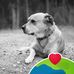 Johnny Natoli - Facebook