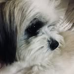 John Benedict Navalta - @jbyst_exe - Instagram
