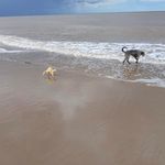 John Naylor - @yob_2014 - Instagram