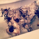 John Neace - @beartionsworld - Instagram