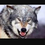 John Nealey - @johnn5759 - Instagram