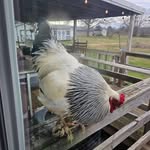 John A. Neeley - @johnneeley62 - Instagram