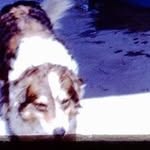 John Neeley - @johnneeley3 - Instagram