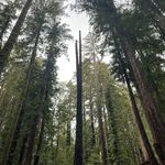 John Neff - @jdtree76 - Instagram
