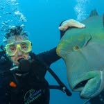 John Nelligan - @john.nelligan - Instagram