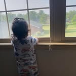 John Netherland - @netherlandj - Instagram