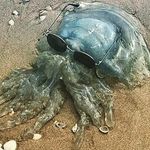 Johnnie Netherton - @nethertonjohnnie - Instagram