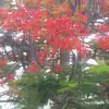 johnneuser3319673189 - @user4821709 - TikTok