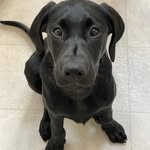 John Neve - @john_diesel - Instagram