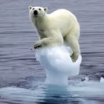 John.Newbern - @the_icecaps_captone_project - Instagram