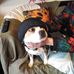 John Newhall - Facebook