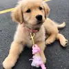 John newton - @john.newton83 - TikTok