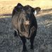 John Neyland - Facebook