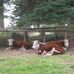 John Neyland - Facebook