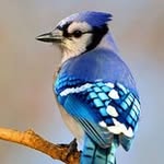 John Ngan - @john.ngan.7165 - Instagram