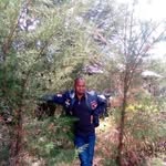 John Ngari - @john.ngari.549668 - Instagram