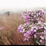 John NGOISA NJIE - @johnngoisanjie - Instagram