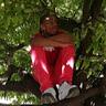 John Ngui - @johnngui - TikTok