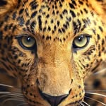 John Nguyo - @john.nguyo - Instagram