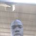 John Nhial Atak - Facebook