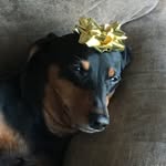 John Nickell - @jwnickell2001 - Instagram