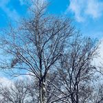 Michell Johnson-Nietfeld - @m_nietfeld - Instagram