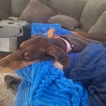 John Nigh - @john.nigh.501 - Instagram