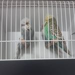 John Niles - @niles3656 - Instagram