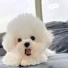 John Nilson - @john.nilson7 - TikTok