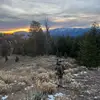 john_immons - @john_immons - TikTok
