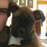 John Nista - @john_nista0524 - Instagram