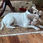 John Nolan - @john.nolan.522 - Instagram