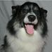 John Norkus - Facebook