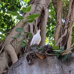John Norrell - @johnhope10 - Instagram